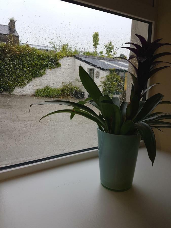 Glenbower House Apartment Cork Ngoại thất bức ảnh