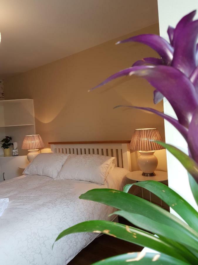 Glenbower House Apartment Cork Ngoại thất bức ảnh